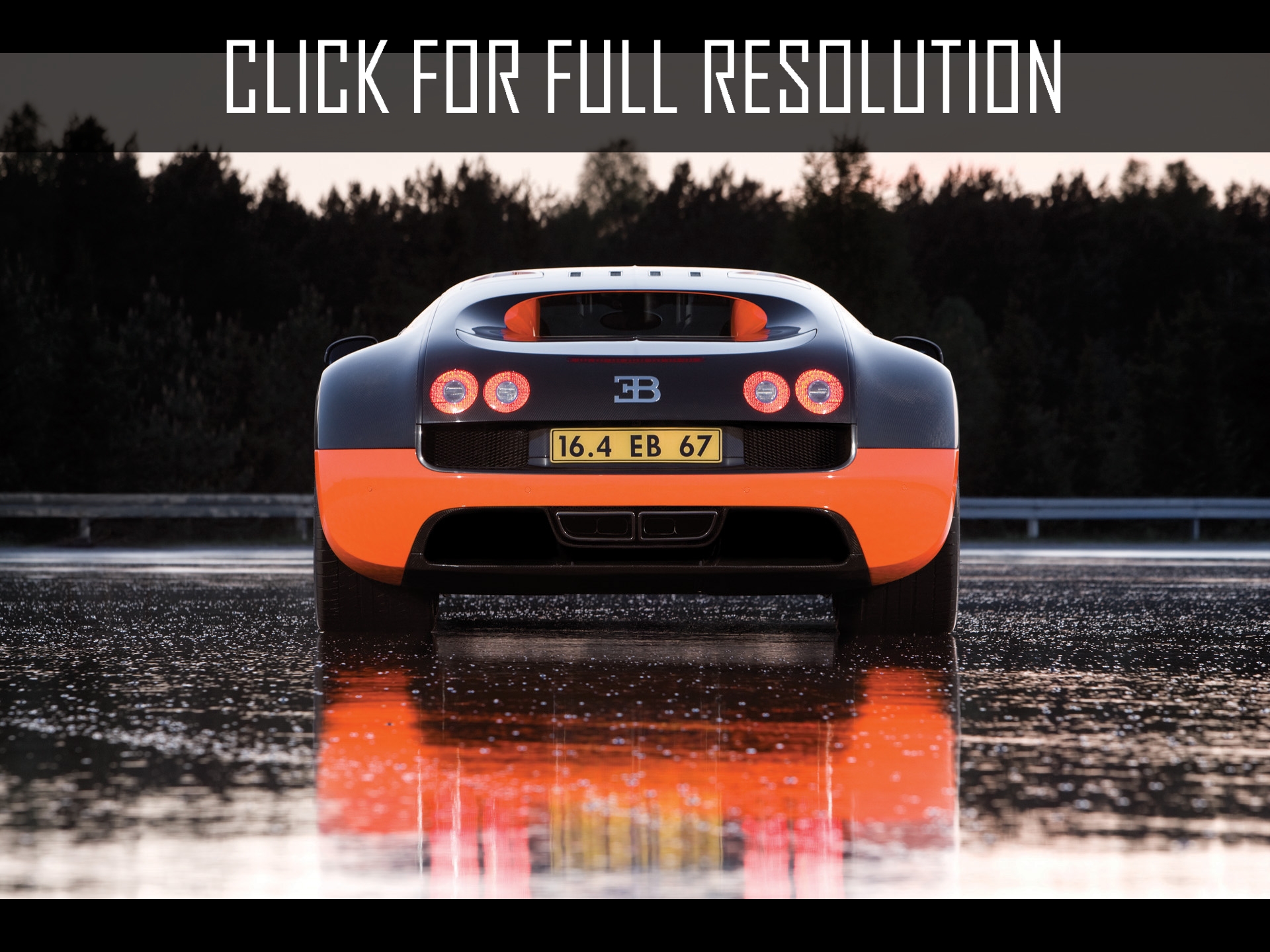 2010 Bugatti Veyron 16.4