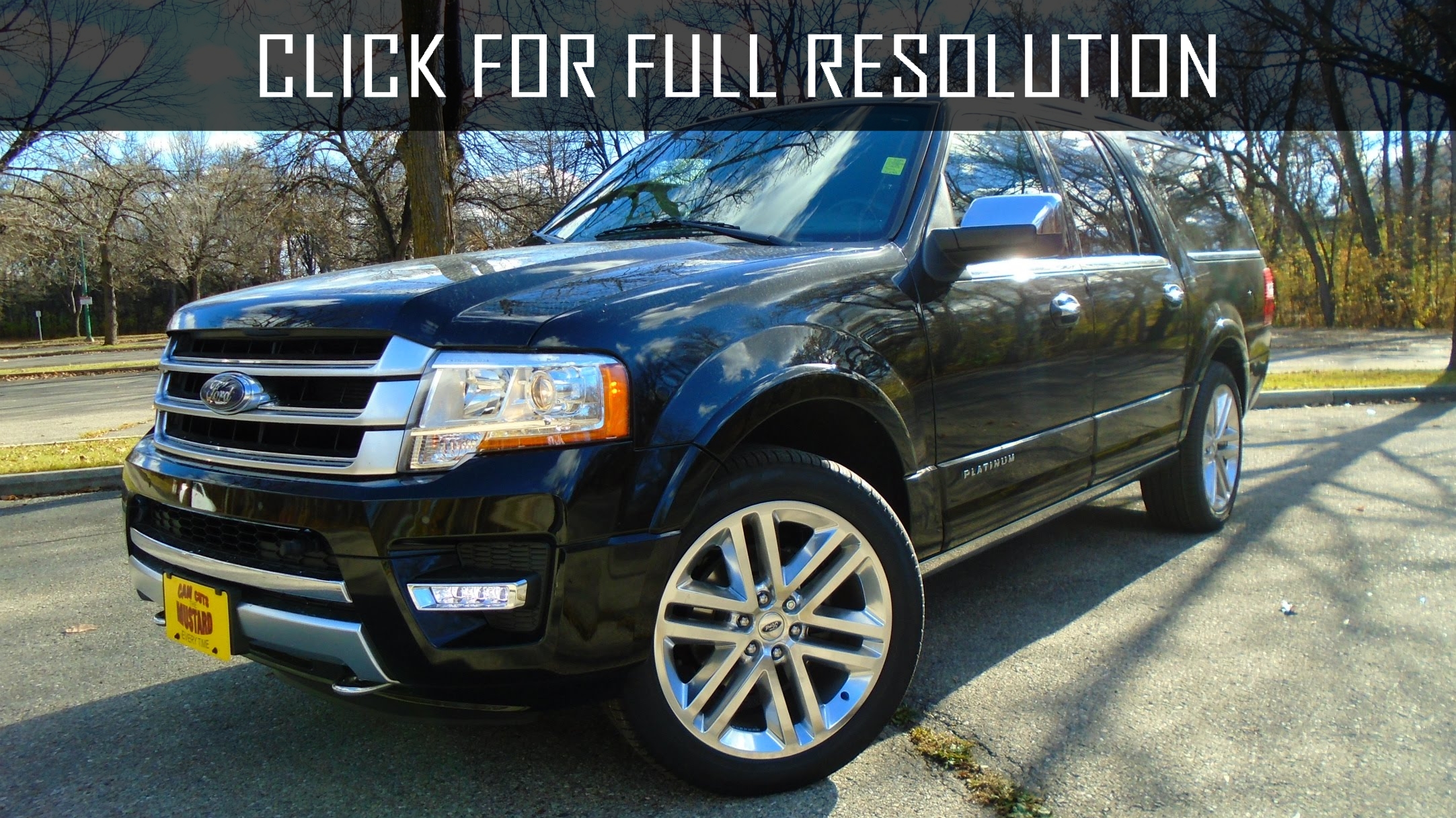 2016 Ford Expedition Xlt