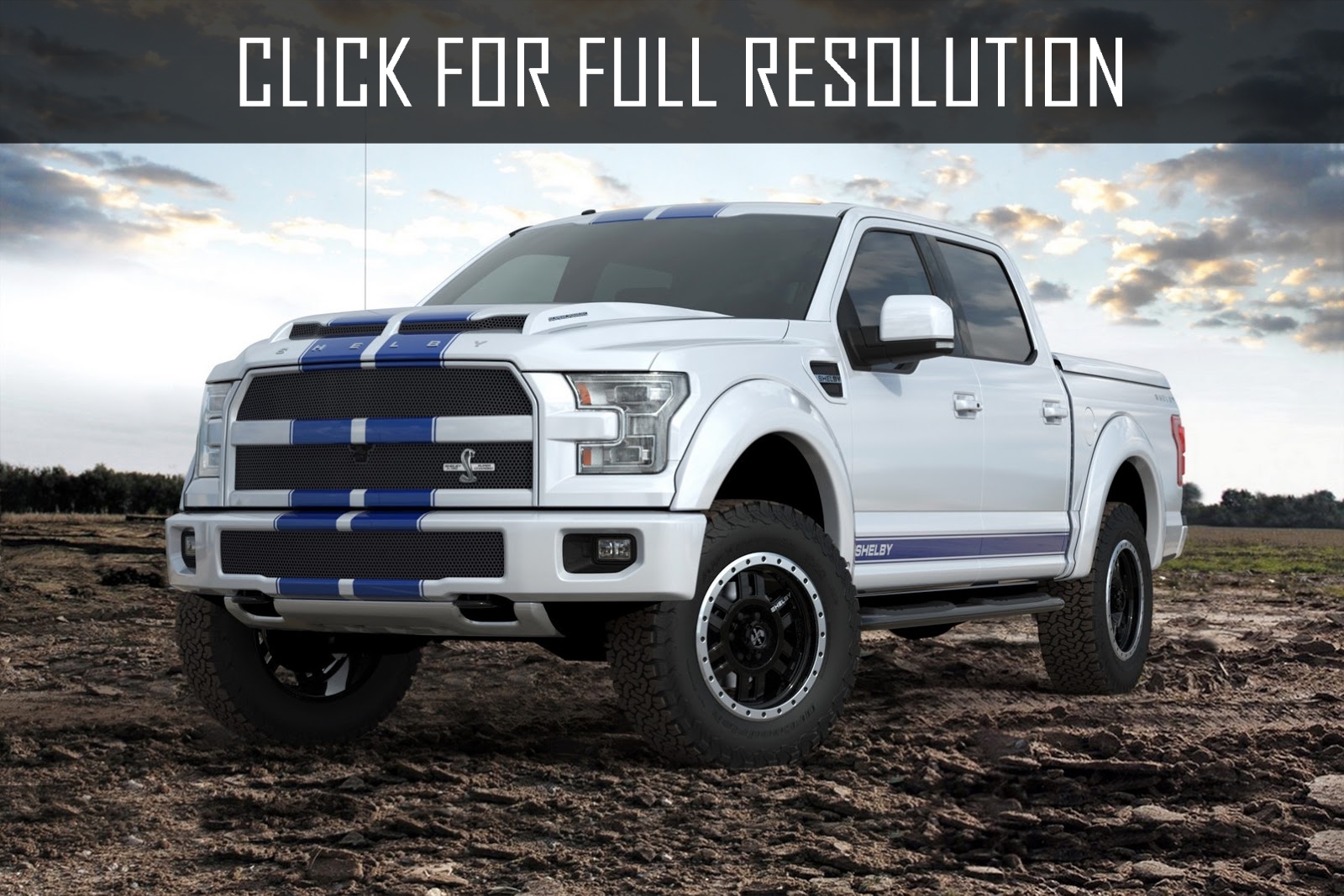 2015 Ford F-150 Shelby