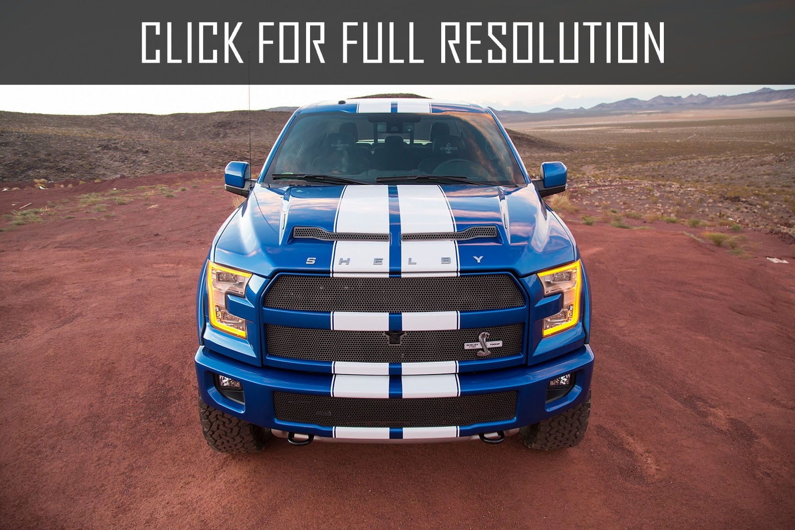 2015 Ford F150 Shelby