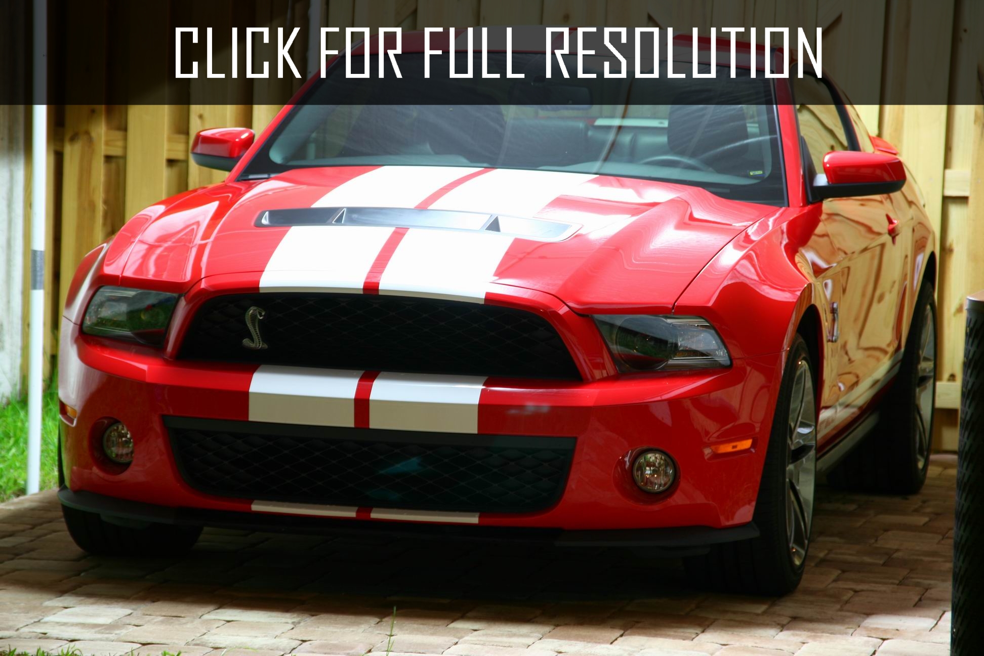 2010 Ford Mustang Shelby Gt500