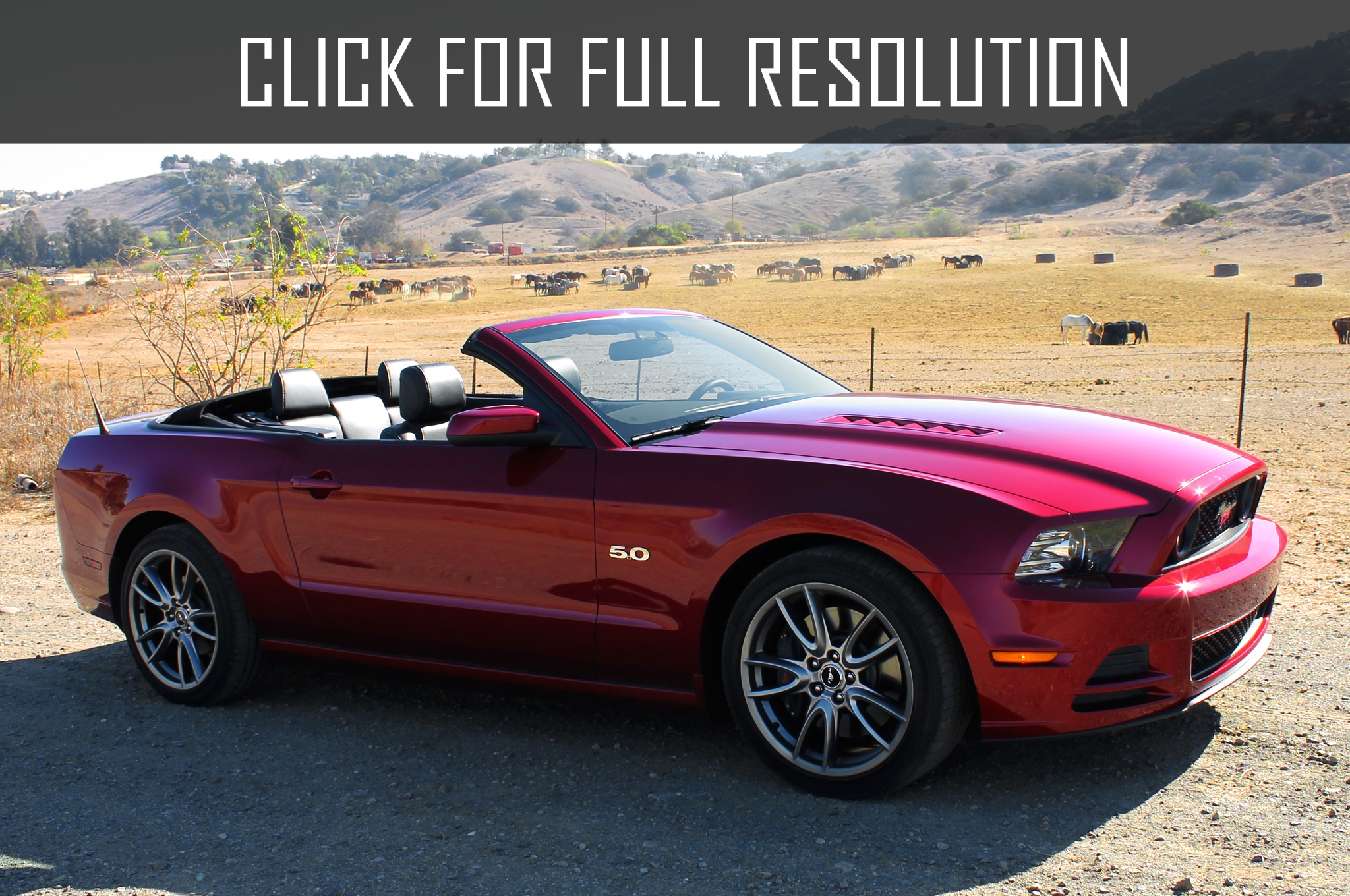 2014 Ford Mustang Convertible