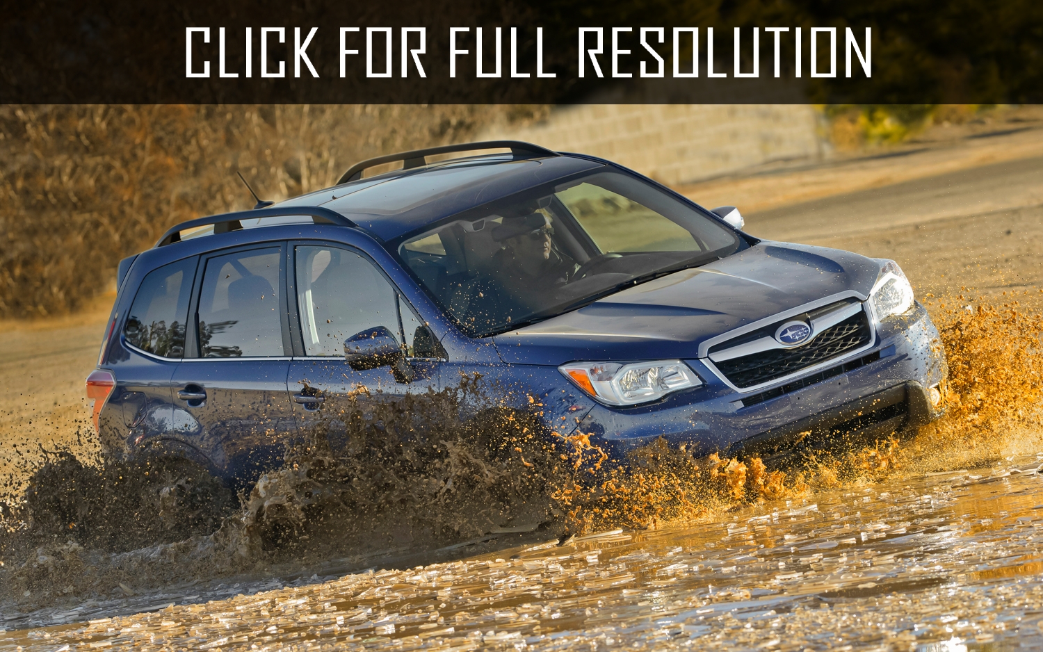 2014 Subaru Forester Off Road news, reviews, msrp