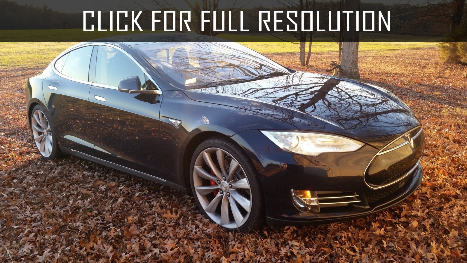 2014 Tesla Model S P85d